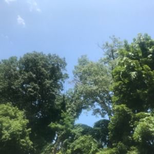 Meet your Posher, Mienyon